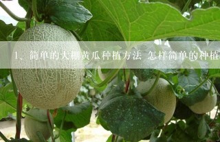 简单的大棚黄瓜种植方法 怎样简单的种植大棚黄瓜