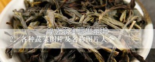 各种蔬菜图片及名称图片大全