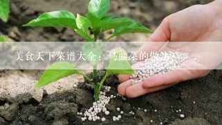 美食天下菜谱大全：马曲菜的做法？