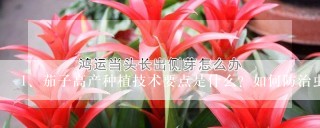 茄子高产种植技术要点是什么？如何防治虫害呢？