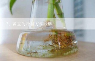 黄豆的种植方法步骤