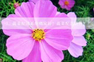 蔬菜配送系统哪家好？蔬菜配送软件？