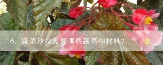 蔬菜沙拉需要哪些蔬菜和材料？