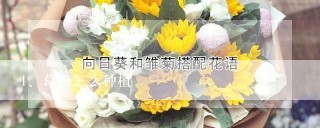 葛根怎么种植