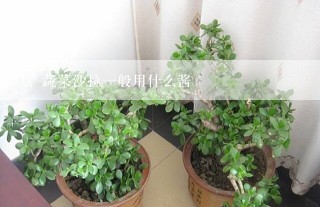 蔬菜沙拉一般用什么酱