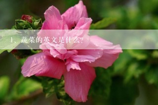 蔬菜的英文是什么？