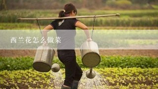 西兰花怎么做菜