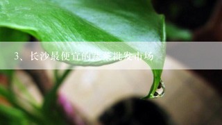 长沙最便宜的蔬菜批发市场