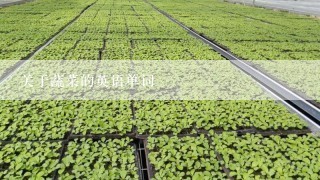 关于蔬菜的英语单词