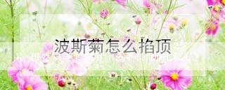 想要学烧菜，用什么手机app比较好？