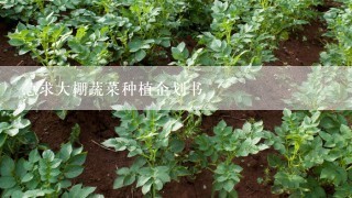 急求大棚蔬菜种植企划书