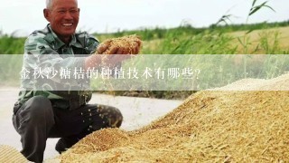 金秋沙糖桔的种植技术有哪些？