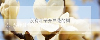 50种最常吃的家常菜菜名