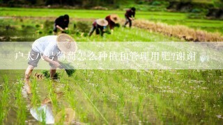 户太八号葡萄怎么种植和管理用肥?谢谢