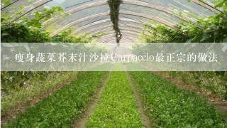 瘦身蔬菜芥末汁沙拉Carpaccio最正宗的做法