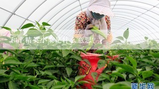 和平精英小菜是什么意思?