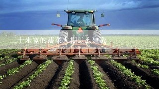 二十米宽的蔬菜大棚怎么建造