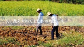 关于蔬菜大棚无土立体栽培的方法