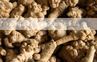 各种蔬菜图片及名称图片大全