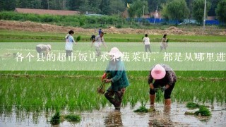 各个县的超市饭店水果蔬菜店，都是从哪里进的一次性背心塑料袋啊？