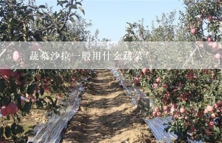 蔬菜沙拉一般用什么蔬菜