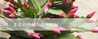 韭菜的种植方法和时间