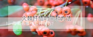 蔬菜有哪些七种颜色？