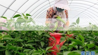 广州有几个蔬菜批发市场