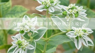 各种常见的蔬菜用英语分别怎么说？