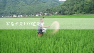 家常荤菜1000道菜谱