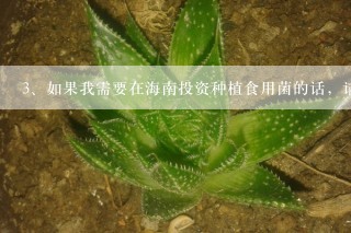 如果我需要在海南投资种植食用菌的话，请问需要什么