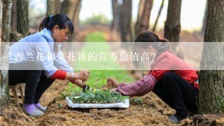 西兰花和菜花谁的营养价值高?