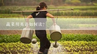 蔬菜用英语如何读？