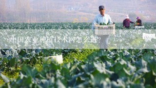 中国农业种植技术网怎么进？