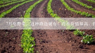 7月吃野菜，这种路边就有，营养价值很高，拌面粉一