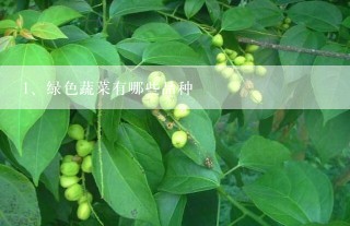 绿色蔬菜有哪些品种