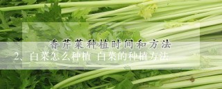 白菜怎么种植 白菜的种植方法