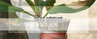 vegetable单数复数区别