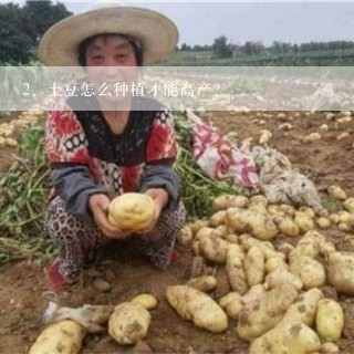 土豆怎么种植才能高产？