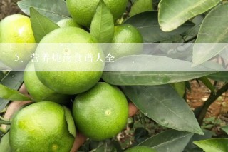 营养炖汤食谱大全