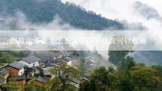 想做蔬菜批发怎么入手以下建议可以收藏