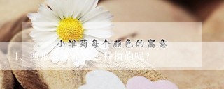 西瓜冬天是怎么种植的呢？