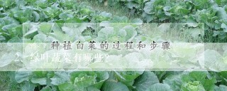 绿叶蔬菜有哪些？