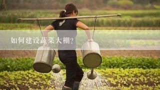 如何建设蔬菜大棚？