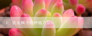 铁皮枫斗的种植方法