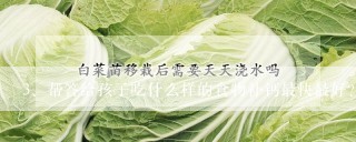 帮答给孩子吃什么样的食物补钙最快最好？