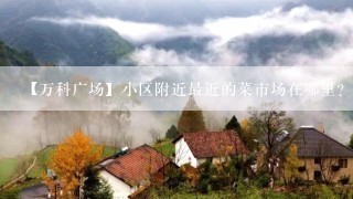 【万科广场】小区附近最近的菜市场在哪里？