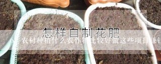 农村种植什么农作物比较好做这些项目赚钱