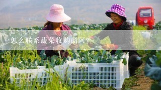 怎么联系蔬菜收购商阿？