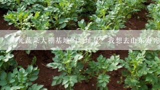 寿光蔬菜大棚基地的地址是？我想去山东寿光学习蔬菜大棚技术。想找蔬菜基地附近的正规点的工程学习一下。